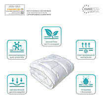 Набір Super Soft Classic IDEIA полуторний ковдру 140х200 см + подушка 50х70 см штучний пух, фото 5