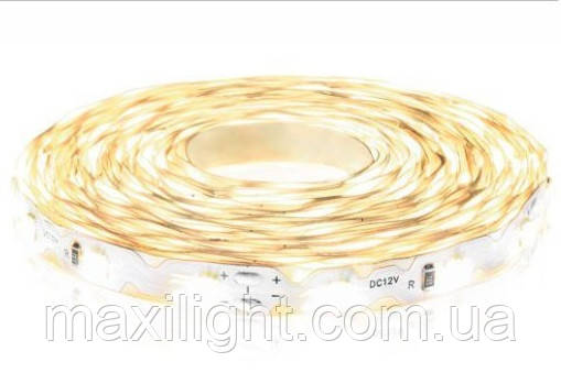 LED стрічка 12V BIOM Professional S-TYPE Generation 3 (smd 2835) 60LEDs/м IP20 холодний білий (7500-8000K), фото 1