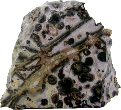 Мінерали. У надрах Землі №54 - Яшма Леопардова | Centauria