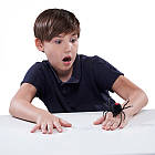 Інтерактивна іграшка Robo Alive - Павук 7111, фото 7