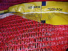 Лук — совок весняний Ред Барон (Red Baron), Голландія, 0.5 кг, фото 4
