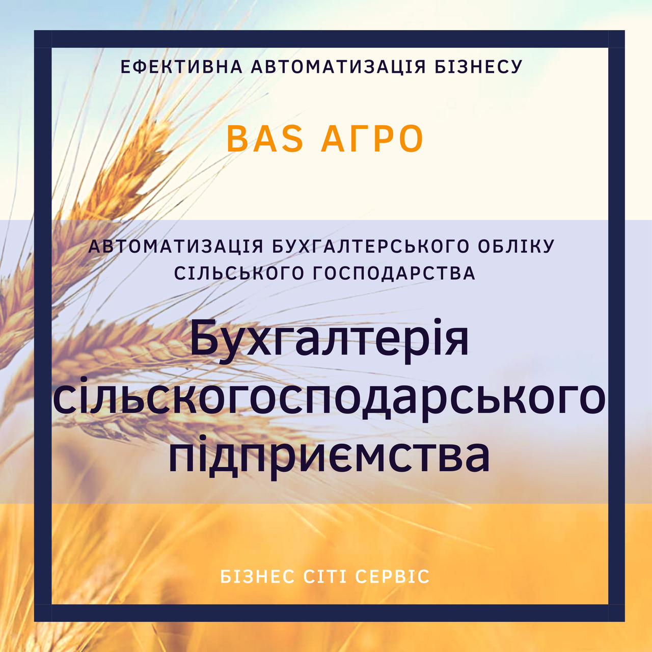 BAS АГРО. Бухгалтерія. Додаткова клієнтська ліцензія на 1 користувача