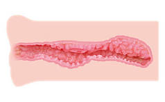 Мастурбатор вагіна двошаровий Kokos Nara DL   | Knopka