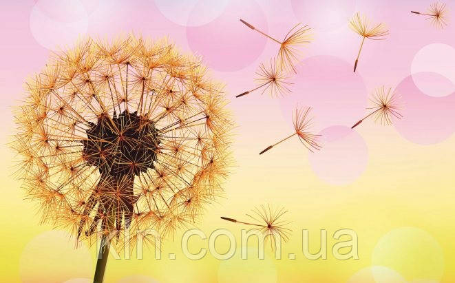 Алмазна вишивка на підрамнику Кульбаба на вітрі 20 х 30 см (арт. TN1117), фото 1