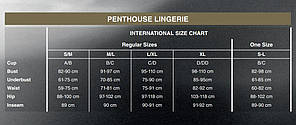Комплект сукні з басками, прикрасою і стрингами Penthouse - Poison Cookie Black L/XL | Knopka, фото 5