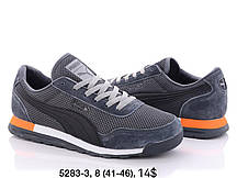 Чоловічі кросівки Puma Easy Rider оптом (41-46)