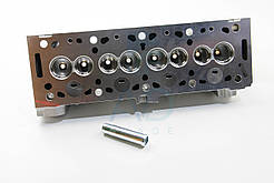 Головка блока циліндрів Citroën Berlingo Partner Scudo 1.9D DW8 96-г LP 99006