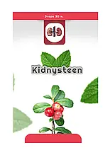 KIDNYSTEEN (КІДНІСТЕН) - чай для нирок