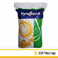 СИ Честер Syngenta (Классический), семена подсолнечника SY Chester Сингента