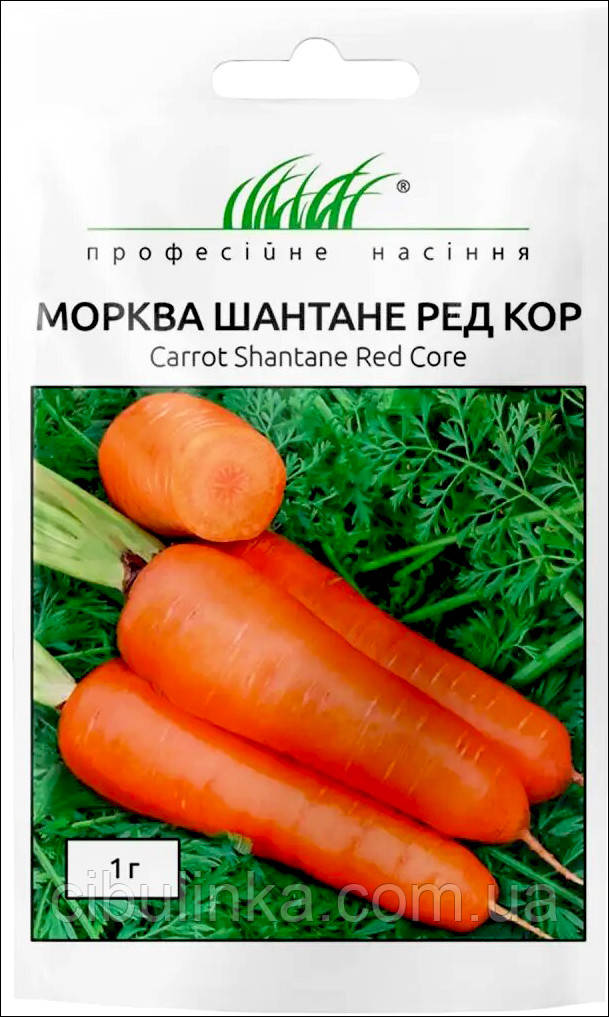 Морква Шантане Ред Кор (середньопізня) 1 г, фото 1