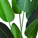Штучна рослина Banana Tree, 120 см (TW-24), фото 3