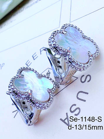 Сережки Stainlees Steel преміум, фото 1