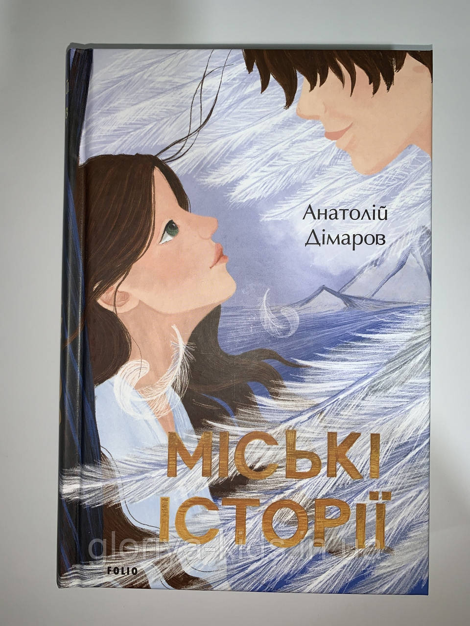 Книга Міські історії. Анатолій Дімаров