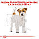 Сухий корм Royal Canin Jack Russell Adult (Роял Канін Джек Рассел) для собак 7,5 КГ, фото 2