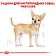 Сухий корм Royal Canin Chihuahua Adult (Роял Канін Чіхуахуа) для собак 3 КГ, фото 2