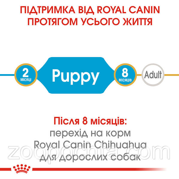 Frontline for chihuahuas sales