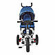 Триколісний велосипед з ручкою дитячий колясочного типу Turbotrike (M 3113AJ-10), фото 2