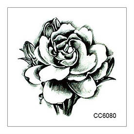 Флеш Тату. 6*6 См. Тимчасова. Трансляційні, Cc-6080 (S)