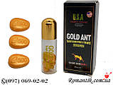 Gold ant золотий мураха, фото 2