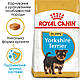 Акція! Сухий корм Royal Canin Yorkshire Terrier Puppy для собак, 1,5 кг + диспенсер для пакетів у подарунок!, фото 2
