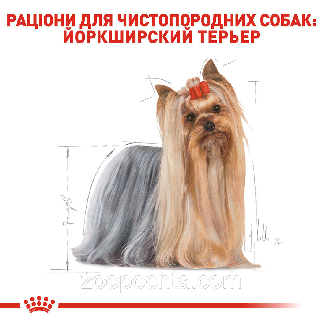 Cухой корм Royal Canin Yorkshire Terrier 28 для собак, 0,5КГ - фото 2 - id-p289906958