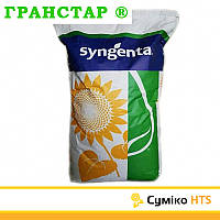 Сумико HTS Syngenta (под Гранстар), семена подсолнечника Sumiko HTS Сингента