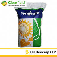 СИ Неостар CLP Syngenta (под Евро-Лайтнинг Плюс), семена подсолнечника SY Neostar CLP Сингента