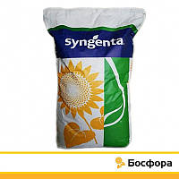 Босфора Syngenta (Классический), семена подсолнечника Bosfora Сингента
