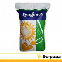 Эстрада Syngenta (Классический), семена подсолнечника Estrada Сингента