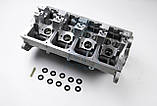 Головка блока циліндрів Volkswagen T5 1.9TDI 03-/Caddy 1.9TDI/2.0SDI/TDI 04-LP 98709, фото 2