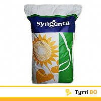 Тутти Syngenta (Класссический), семена подсолнечника Tutti Сингента