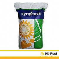 НК Роки Syngenta (Классический), семена подсолнечника NK Rocky Сингента