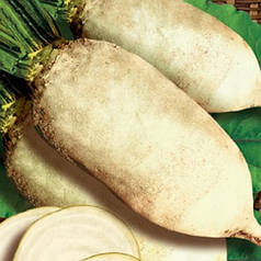 Насіння Буряк кормовий білий Центавр Полі 20 кг Malopolska Hodowla Roslin