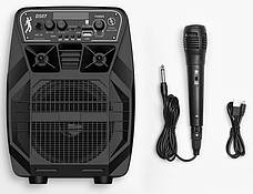 Портативна колонка безпровідна з мікрофоном (караоке) HOCO DS07 Force Wireless 10 Вт Чорний (DS07), фото 4