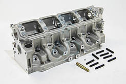 Головка блока циліндрів Renault Trafic Vivaro Master 1.9dCi 01- LP 36900