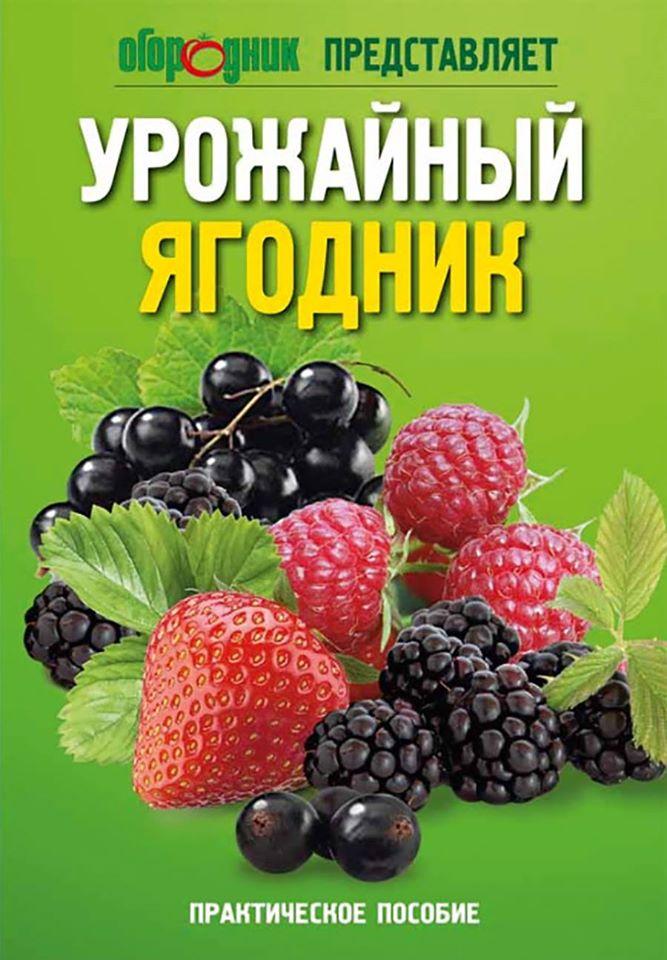 Урожайный ягодник, фото 1