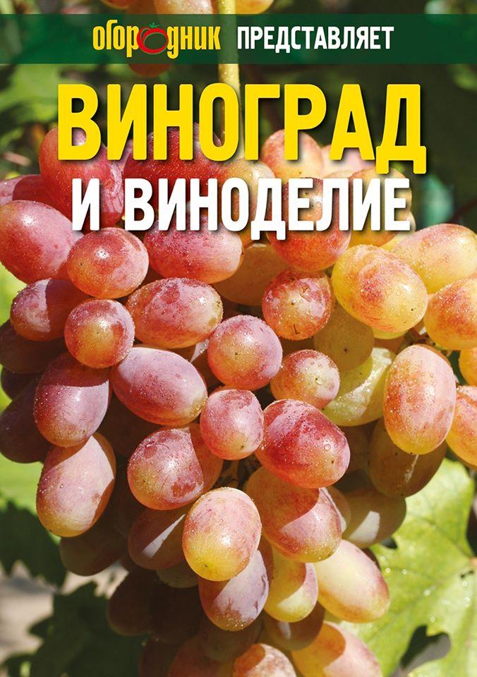 Виноград и виноделие