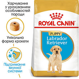 Сухий корм Royal Canin Labrador Retriever Puppy (Роял Канін Лабрадор Ретрівер Папі) для цуценят, 3 КГ
