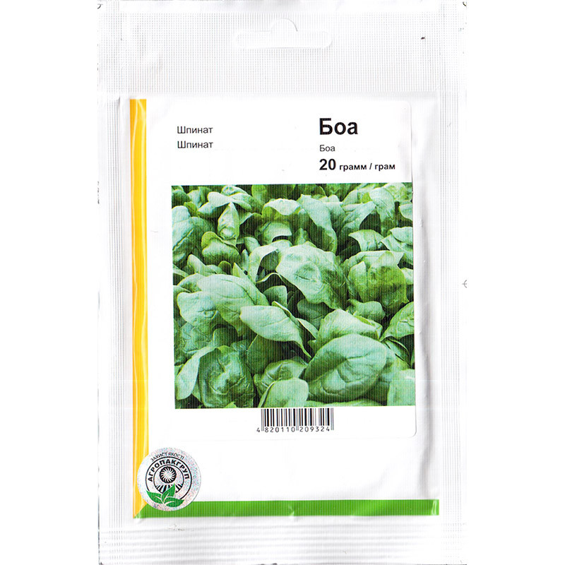 Насіння шпинату "Боа" (20 г) від Rijk Zwaan, Голландія