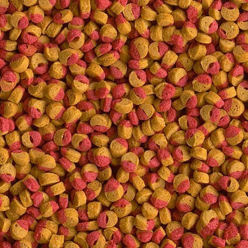 Корм Tetra Cichlid Colour Mini для акваріумних риб у гранулах сувіс 1000 грамів