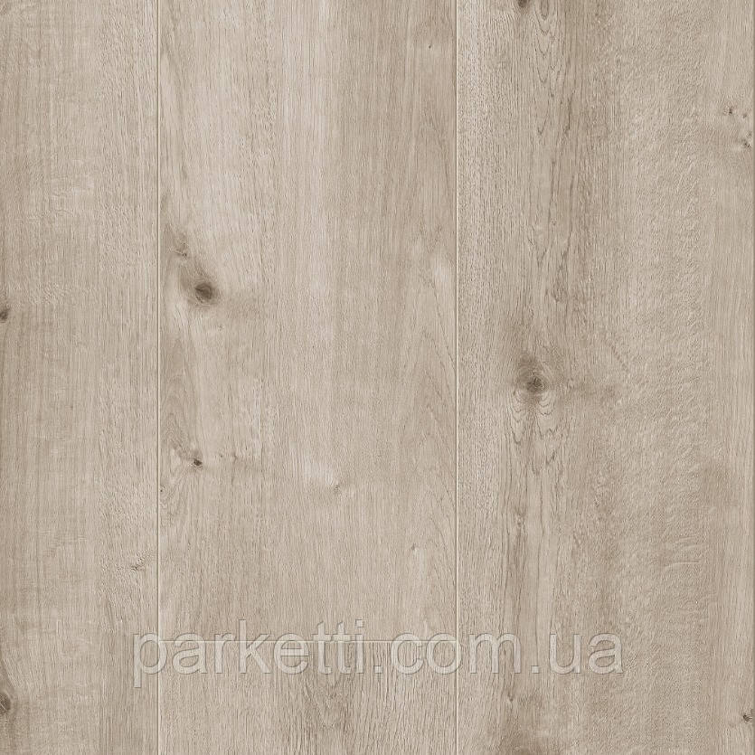 Balterio Jumbo 428 Spring Snow Oak Aqua Protect 4V ламінат, фото 1