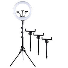 Кільцева LED Лампа RL14 35см + 3 тримача + Штатив 210 см 3 режима світла Набір блогера, фото 3