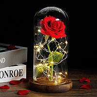 Троянда в колбі 20см з LED підсвічуванням, Червона / Нічник троянда в скляній колбі / Романтичний подарунок нічник