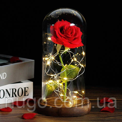 Троянда в колбі 20 см з LED підсвічуванням романтичний подарунок нічник ...