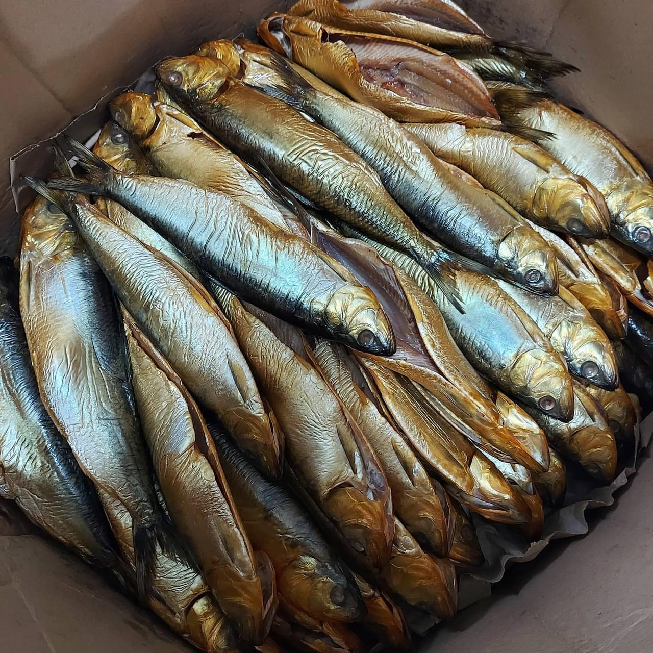 Дунайський оселедець холодного копчення - фото 1 - id-p1570671194