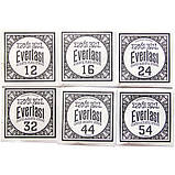Струны Ernie Ball 2546 Everlast Phosphor Bronze 12-54 Medium Light, фото 5