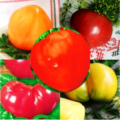 Насіння томатів П'ять вірних сердець