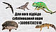 Сублімований Туркменський тарган "Просто додай води!" для : рептилій , їжаків , птиць , гризунів XL - фото 5 - id-p1398945066