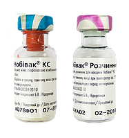 Нобивак КС Nobivac вакцина против бордетеллеза и парагриппа собак, 1 доза + растворитель