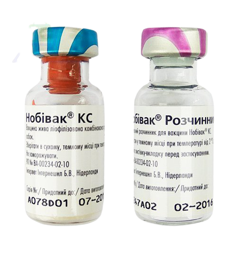 Нобивак КС Nobivac вакцина против бордетеллеза и парагриппа собак, 1 доза + растворитель - фото 1 - id-p645965235
